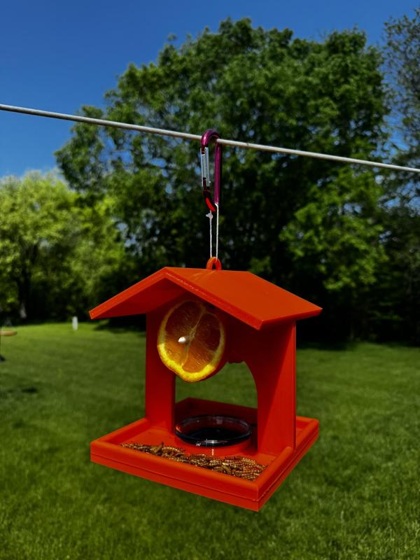 Oriole Bird Feeder