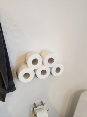 Toilet paper wallmount - modular