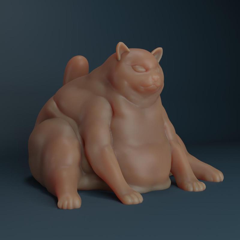 Chonky Cat
