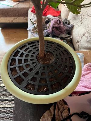 Pot Protection Grill