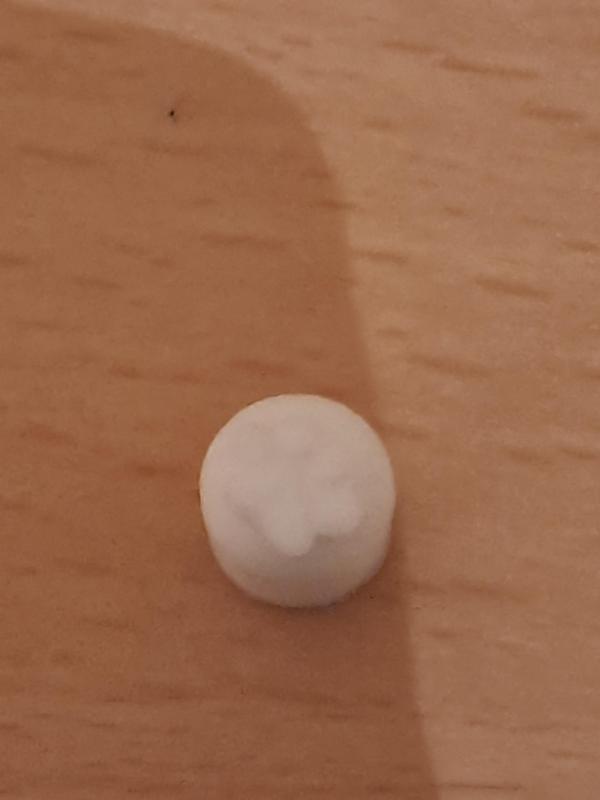 Apple Pencil Cap with Paw