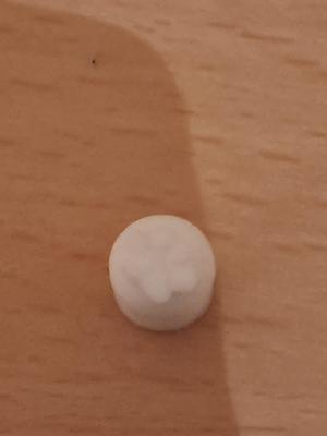 Apple Pencil Cap with Paw