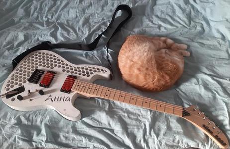 Super Stratocaster - Electric Guitar