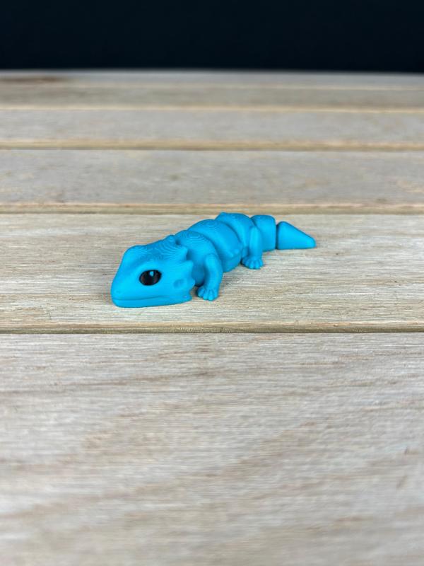 Bearded Dragon Fidget