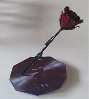 Ethernal rose basement