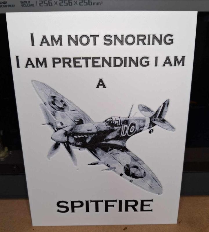 Funny - Snoring - Spitfire hueforge - Greyscale 