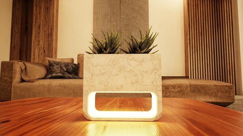 Night Lamp with Planter