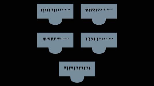 Template for fishing lure painting perch