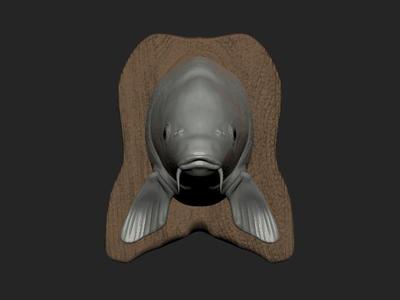 Carp statue wallmount