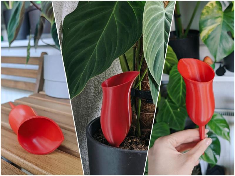 Self-watering pitcher plant