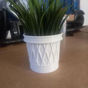 MODERN PLANTER