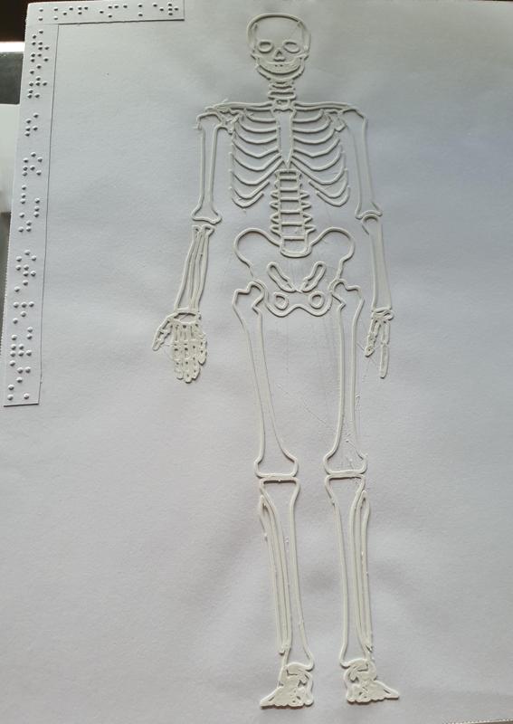 Tactile image: skeleton (front)
