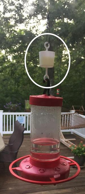 Ant Trap