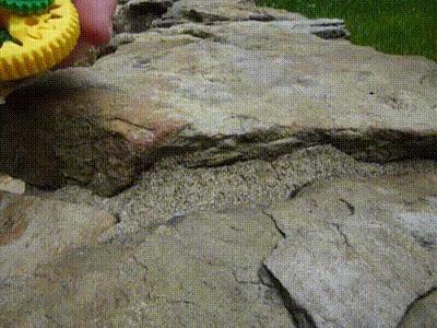 Wandering Sun Planetary Gear Fidget