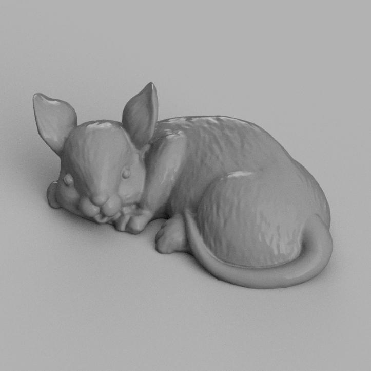 souris allongé