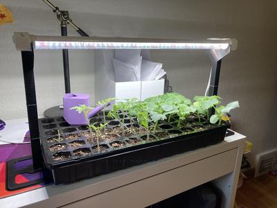 Harbor Freight Grow Light Stand