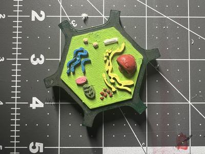 Plant Cell