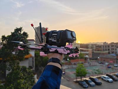 Flashpoint 7.5-inch print (Salty Fish Mung Bean Paste Edition)