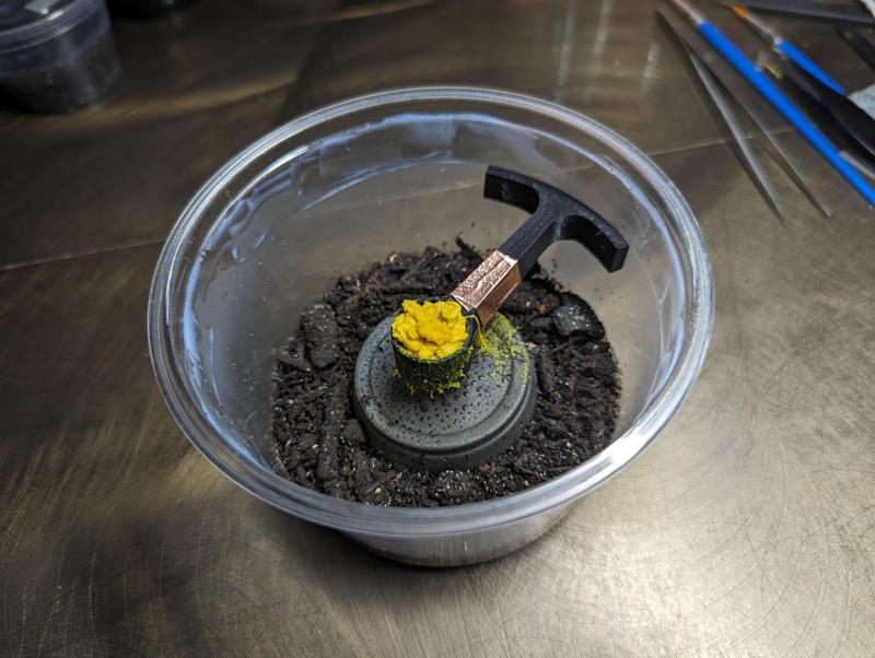 Slime mold feeder for slime-feeding springtails (16oz deli)