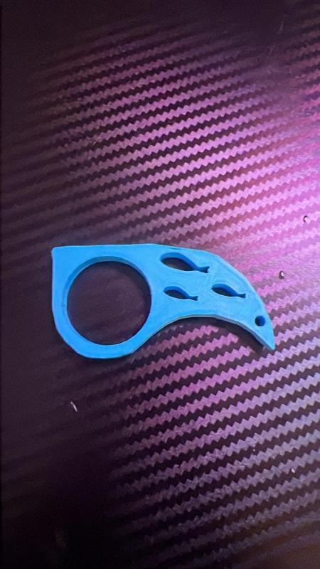 Fishrambit Keychain for 6308 bearing