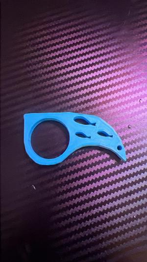 Fishrambit Keychain for 6308 bearing