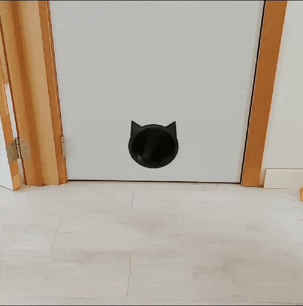 Cat door / Cat flap