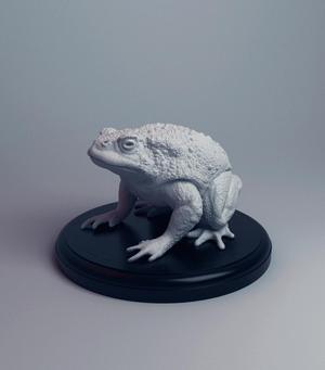 Realistic Toad