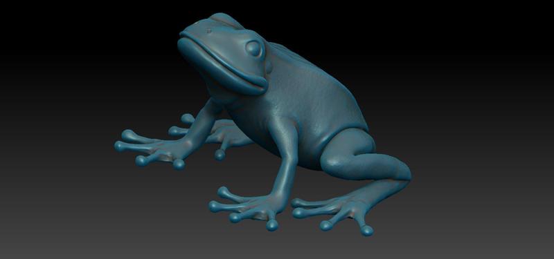 Happy Frog