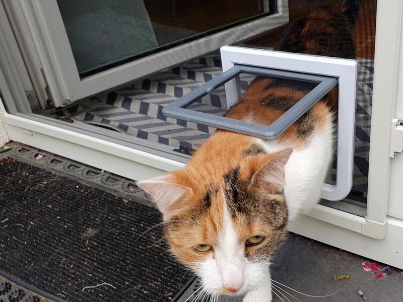 Cat Flap Mosquito Screen