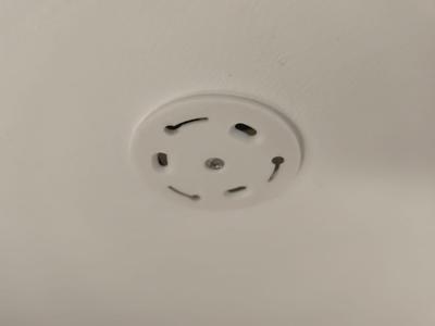 Shelly Smoke Adapter