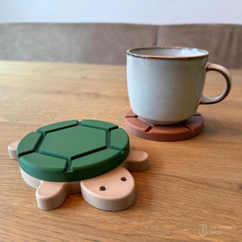 Turtle Coaster