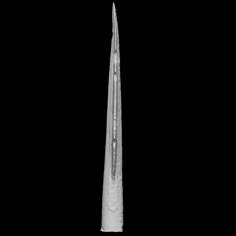 Bronze Age Spearhead