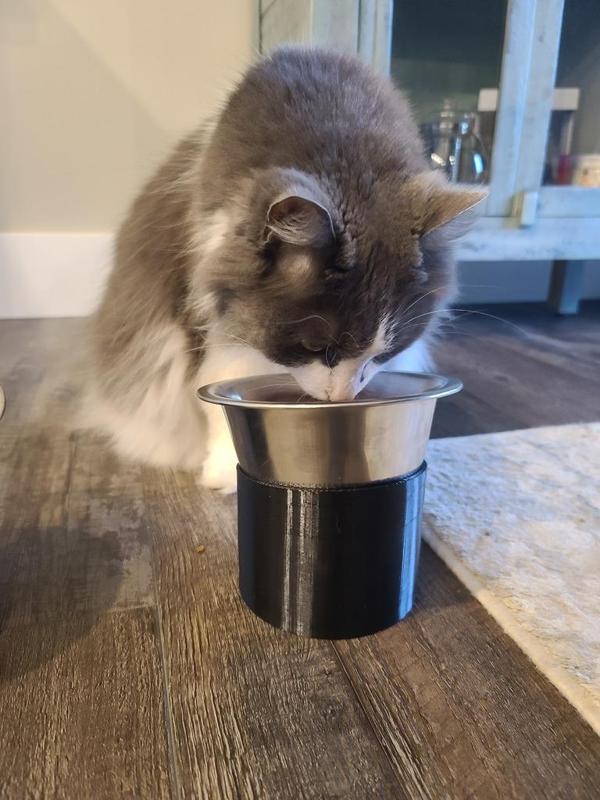 Angled Cat Bowl Riser