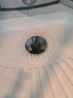 Shower Drain Hair Catcher