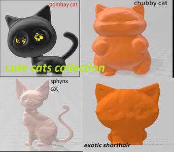 cute cats collection