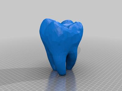 Human Tooth Molar (Gift Container)