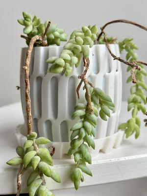 Surface Lattice Flowerpot