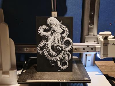 octopus