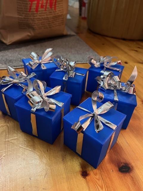 Elegant Fly Trap + Wallmount + Giftbox