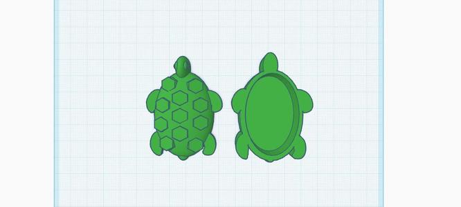 Turtle Box