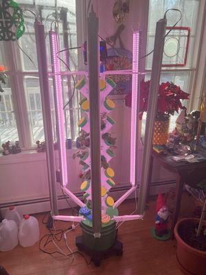 Hydroponic Tower