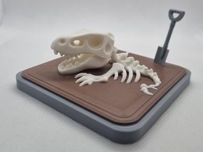 Mini T-Rex Skeleton Excavation
