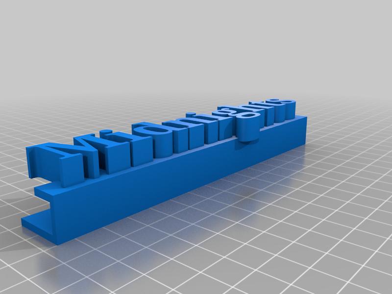 Taylor swift wall vinyl mounts