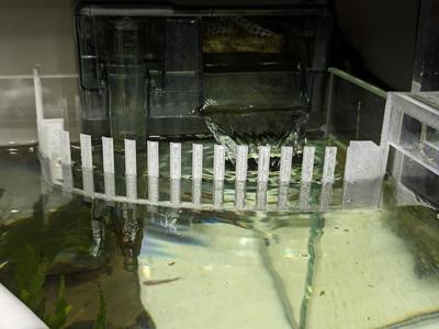 Floating Plant Filter Guard