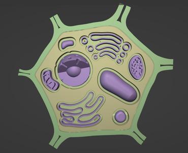 Célula vegetal encajable