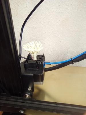 Tree support