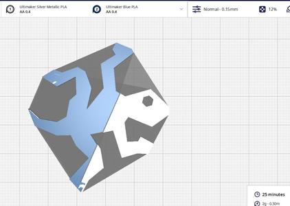escher lizard dual printing