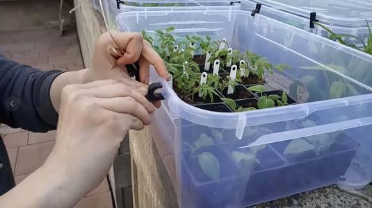 Distancni podlozky pro pruhledne prepravky -  Lid spacers for transparent crates