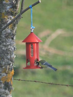 Mangeoire a oiseaux