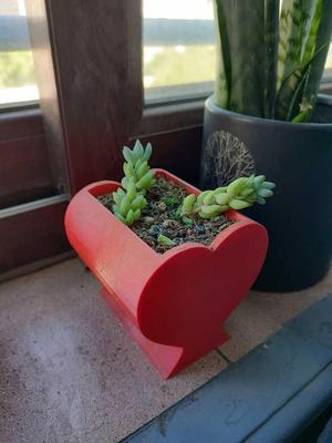 macetero con forma de corazon
